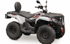  X-WOLF 300